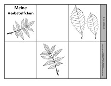 Leporello-für-Herbstelfchen-3.pdf